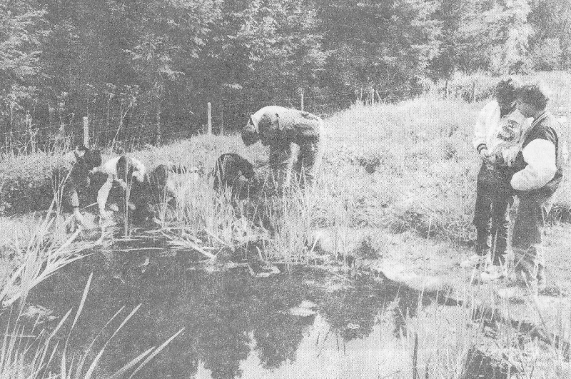 1991 : un des deux étangs de la réserve éducative des Boutons d'Or créée à l'initiative de Philippe Provost.